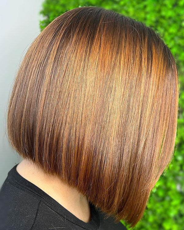 Medium Brown Bob Hairstyle