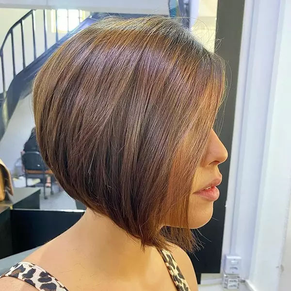 Short Bob Brown Hair 1