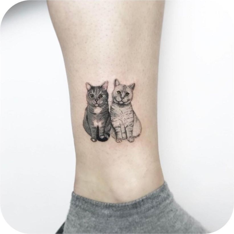 Cat tattoo